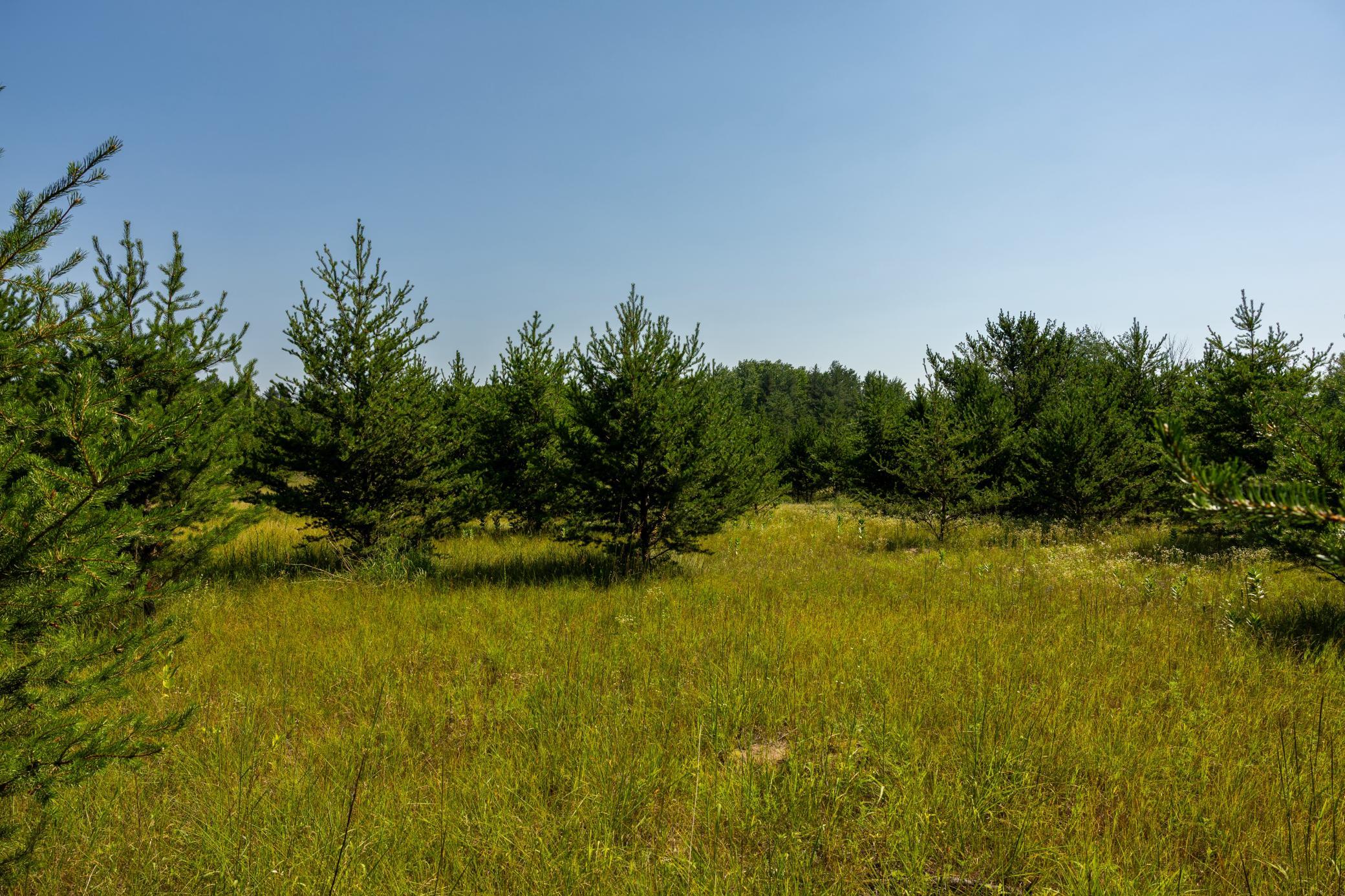 Tract 1 - TBD Hubbard Line Rd, Menahga MN 56464 - Photo 28 of 57