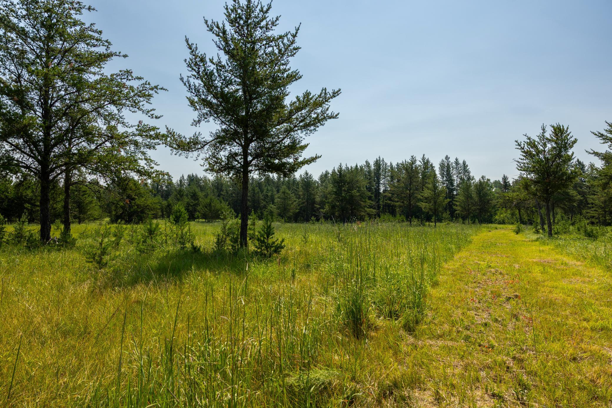 Tract 1 - TBD Hubbard Line Rd, Menahga MN 56464 - Photo 32 of 57