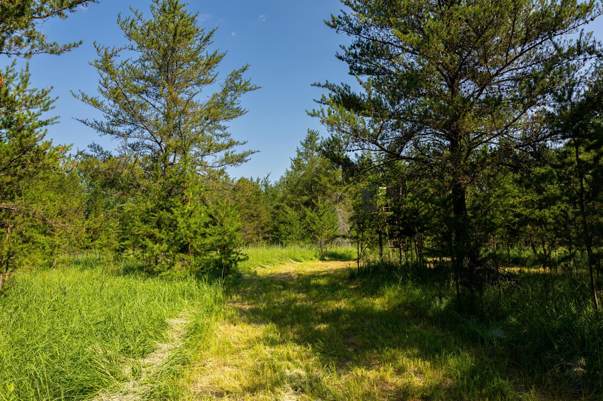 Tract 1 - TBD Hubbard Line Rd, Menahga MN 56464 - Photo 33 of 57