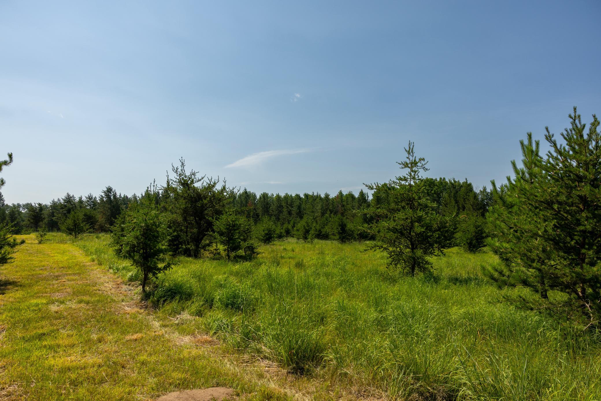 Tract 1 - TBD Hubbard Line Rd, Menahga MN 56464 - Photo 35 of 57