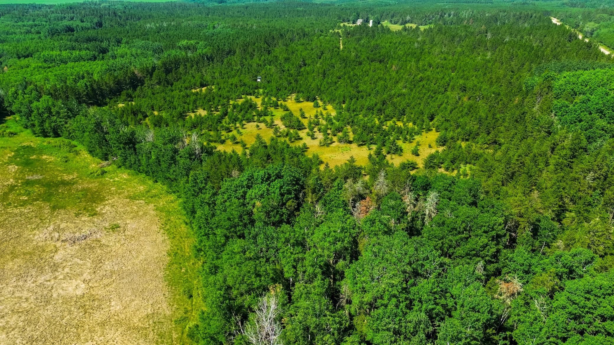 Tract 1 - TBD Hubbard Line Rd, Menahga MN 56464 - Photo 5 of 57