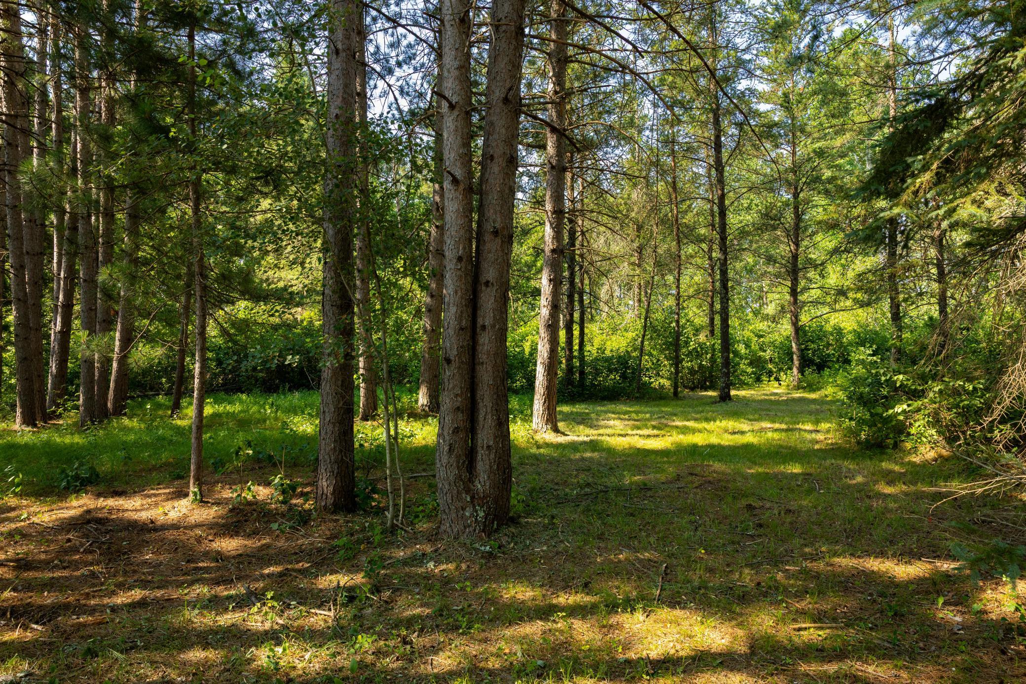 Tract 1 - TBD Hubbard Line Rd, Menahga MN 56464 - Photo 41 of 57