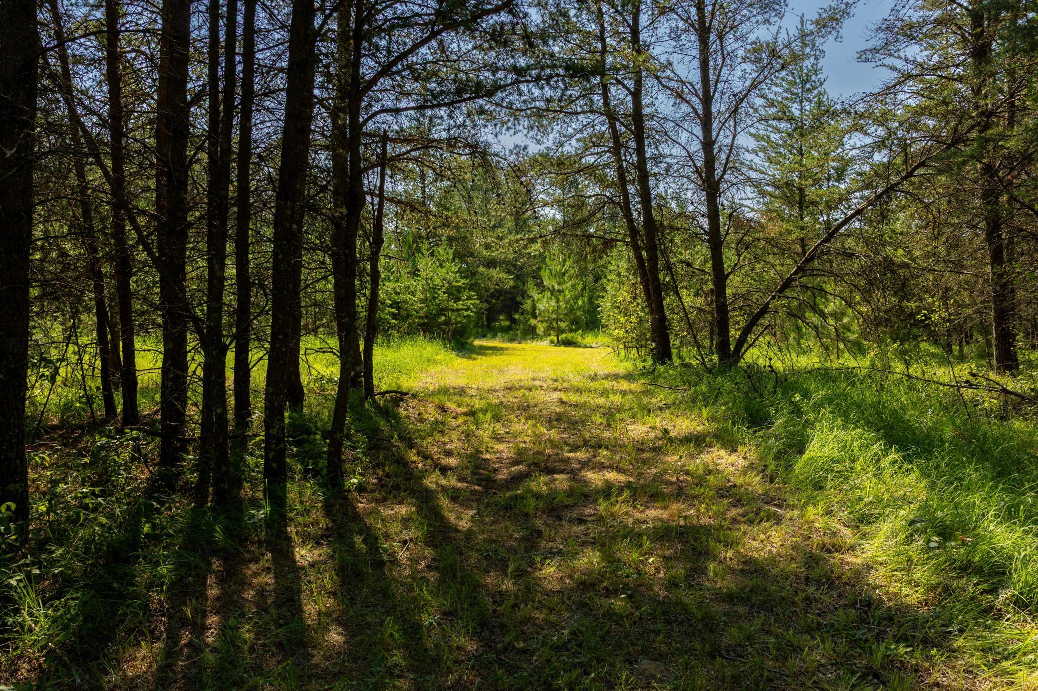 Tract 1 - TBD Hubbard Line Rd, Menahga MN 56464 - Photo 42 of 57