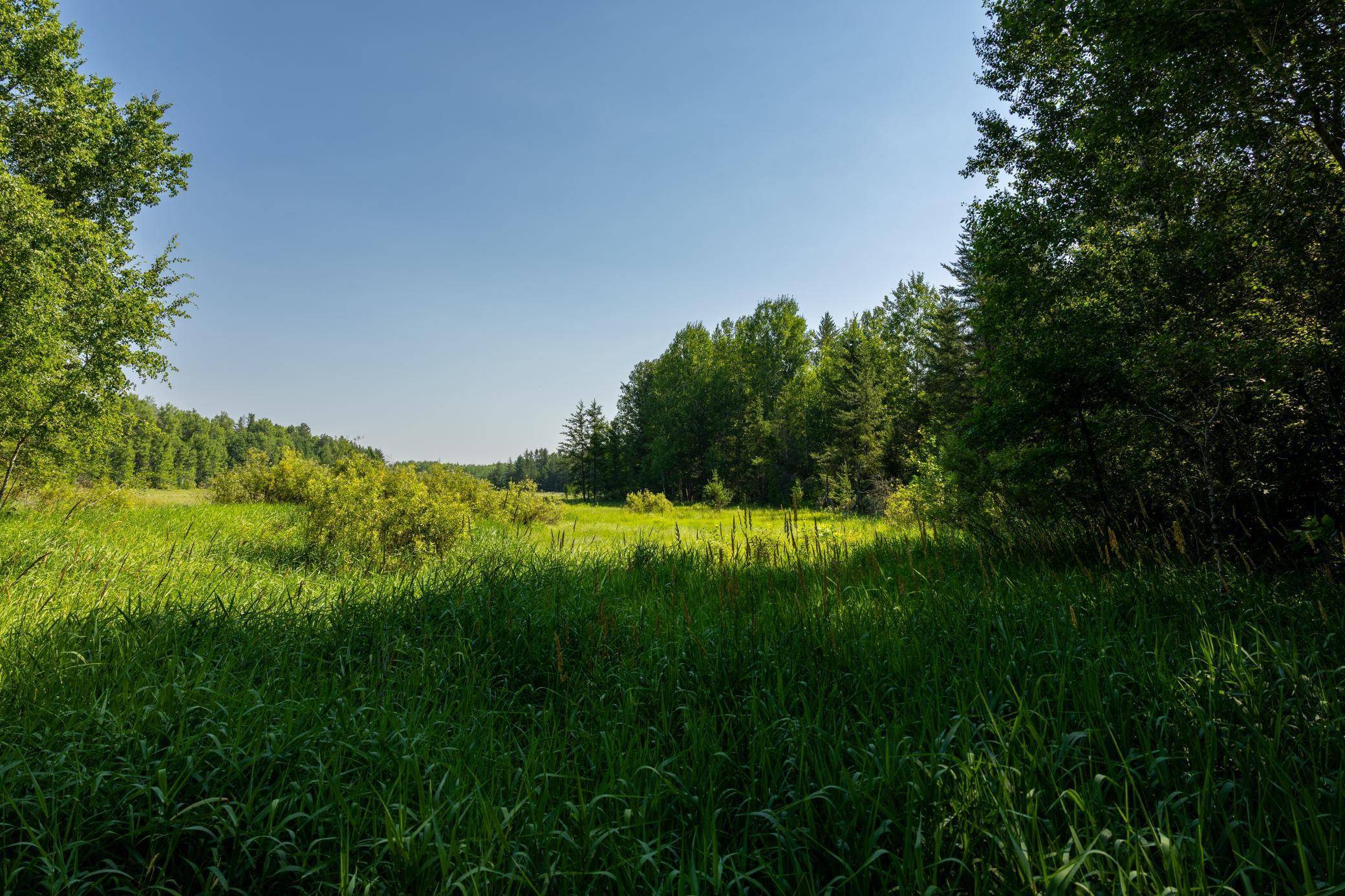 Tract 1 - TBD Hubbard Line Rd, Menahga MN 56464 - Photo 45 of 57
