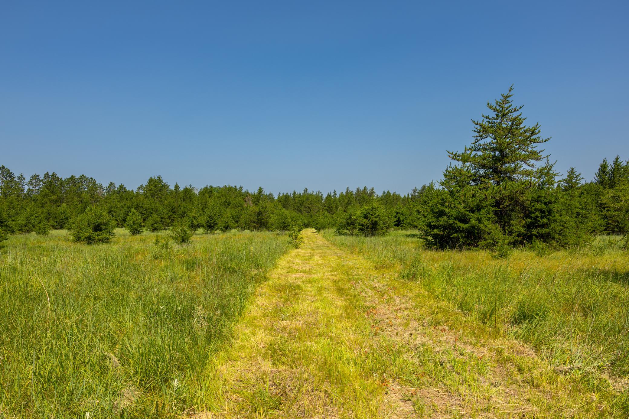 Tract 1 - TBD Hubbard Line Rd, Menahga MN 56464 - Photo 46 of 57