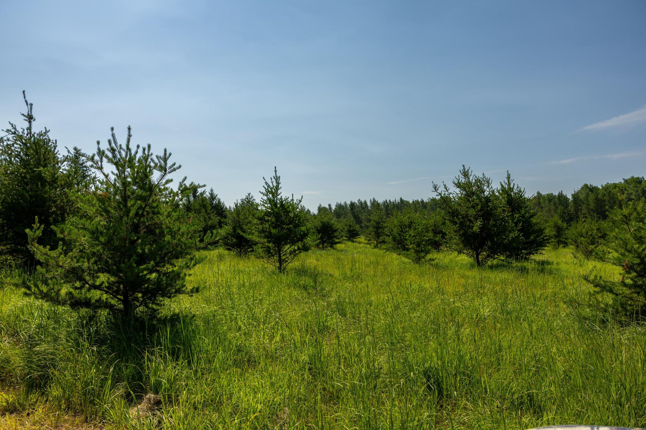 Tract 1 - TBD Hubbard Line Rd, Menahga MN 56464 - Photo 50 of 57