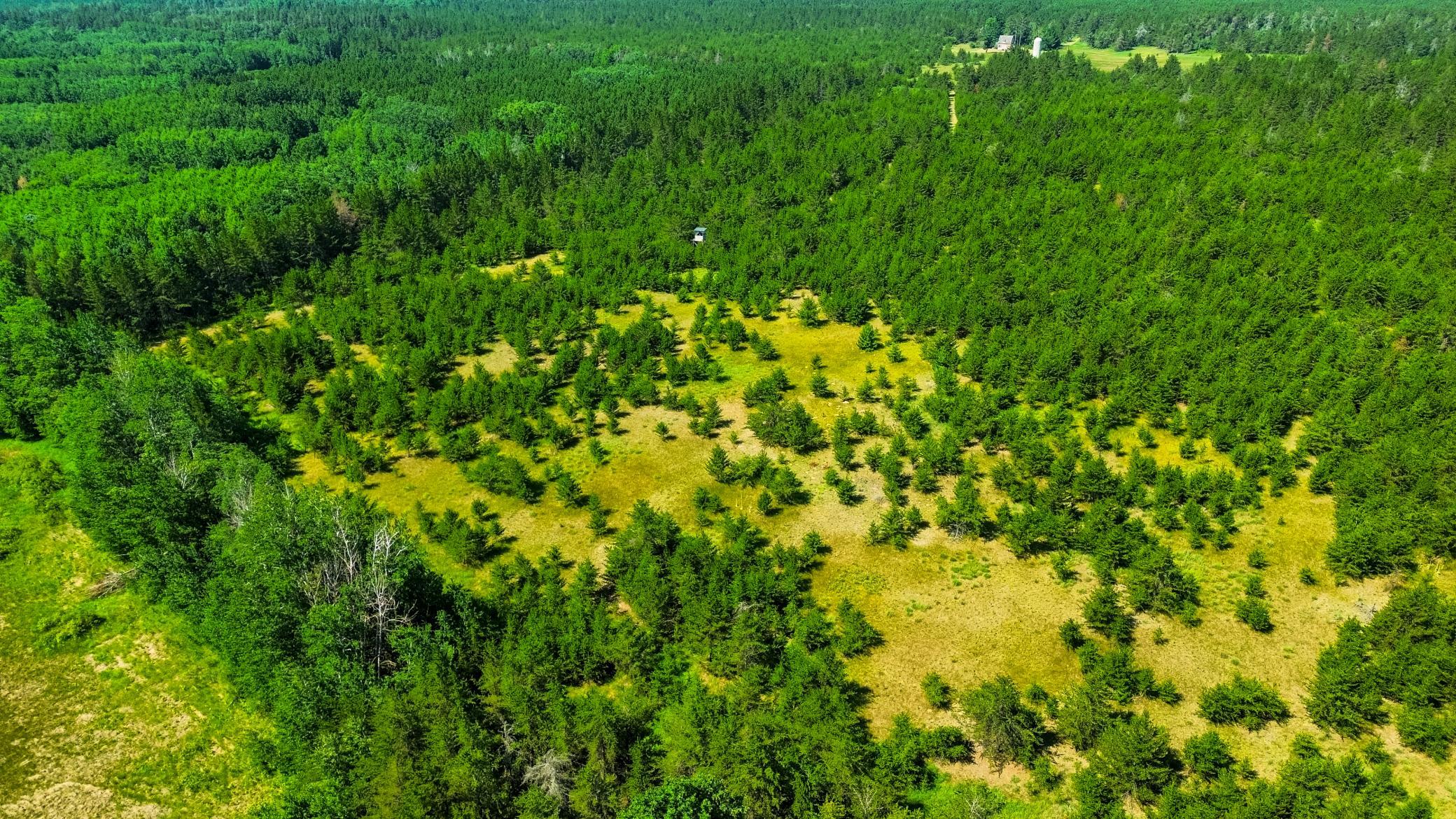 Tract 1 - TBD Hubbard Line Rd, Menahga MN 56464 - Photo 6 of 57