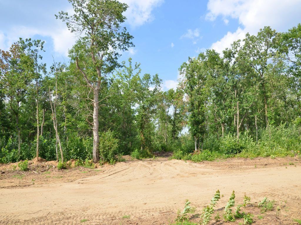 XXX Firewood Trail, Park Rapids MN 56470 - Photo 5 of 10