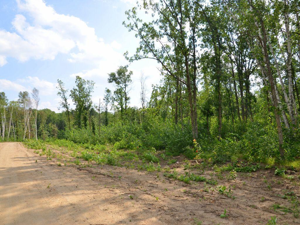 XXX Firewood Trail, Park Rapids MN 56470 - Photo 8 of 10
