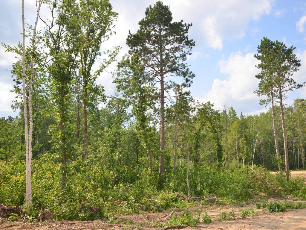 XYZ Firewood Trail, Park Rapids MN 56470 - Photo 6 of 8