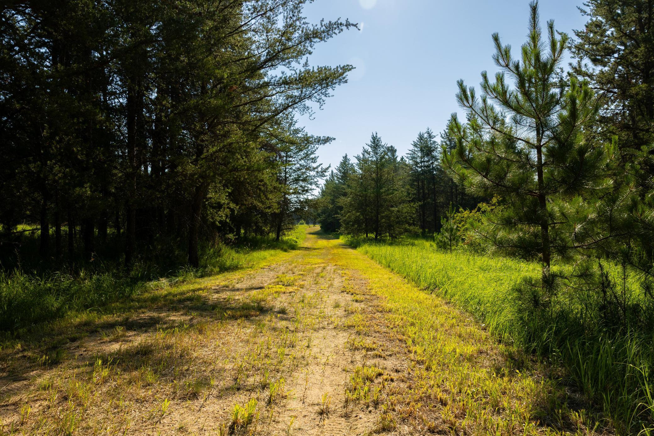 Tract 2 - 39794 259th Ave, Menahga MN 56464 - Photo 17 of 39