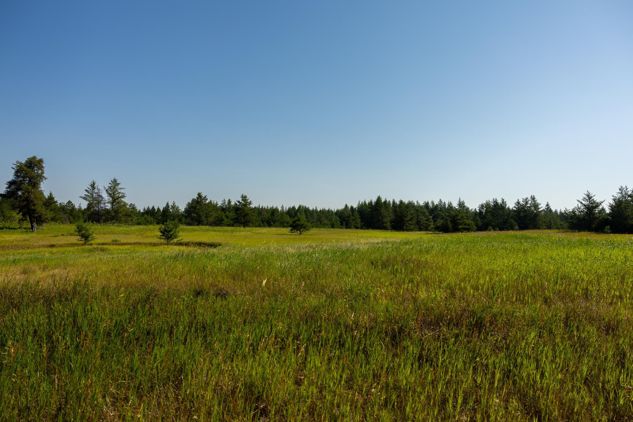 Tract 2 - 39794 259th Ave, Menahga MN 56464 - Photo 22 of 39