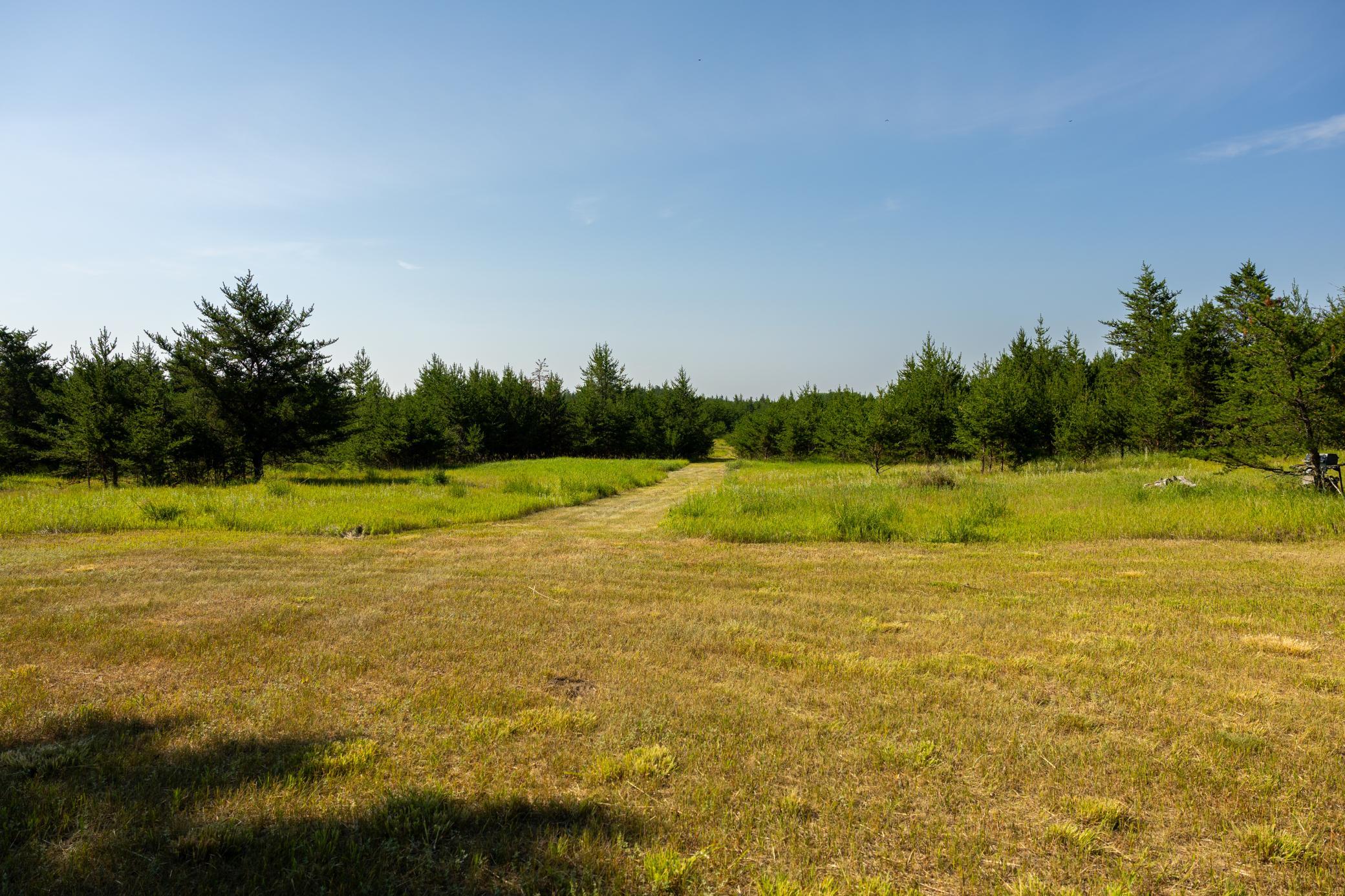 Tract 2 - 39794 259th Ave, Menahga MN 56464 - Photo 25 of 39