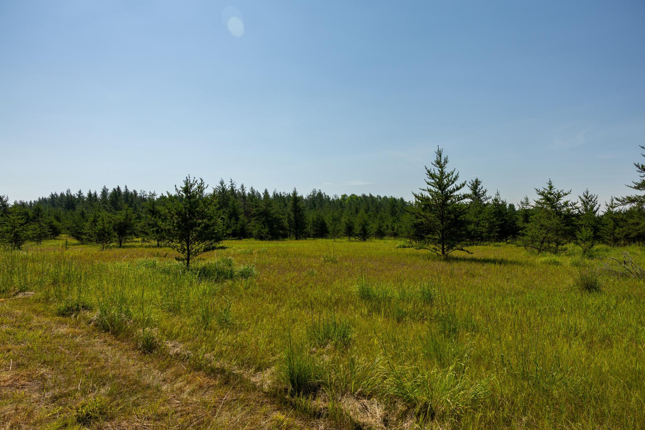 Tract 2 - 39794 259th Ave, Menahga MN 56464 - Photo 29 of 39