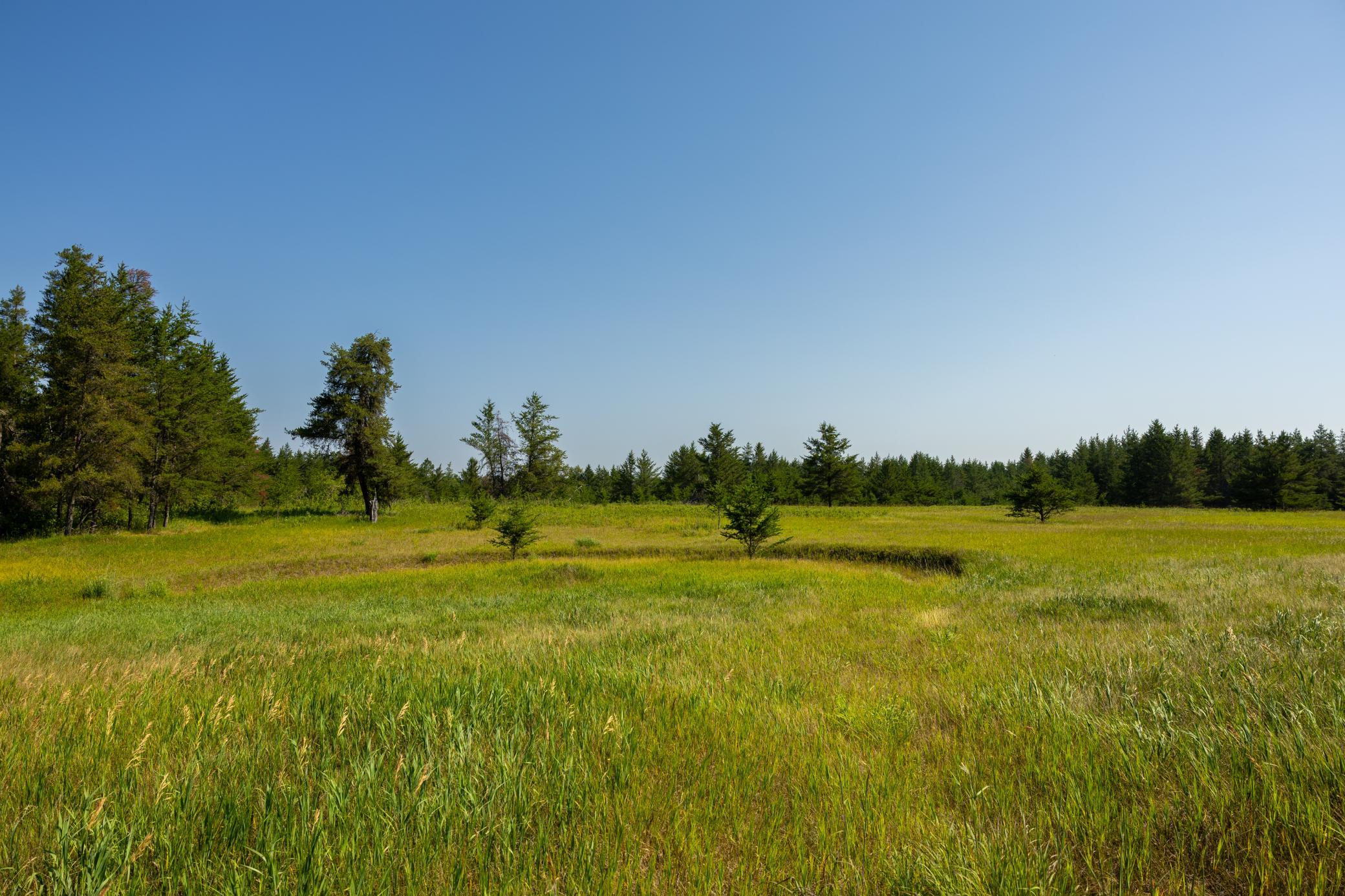 Tract 2 - 39794 259th Ave, Menahga MN 56464 - Photo 32 of 39