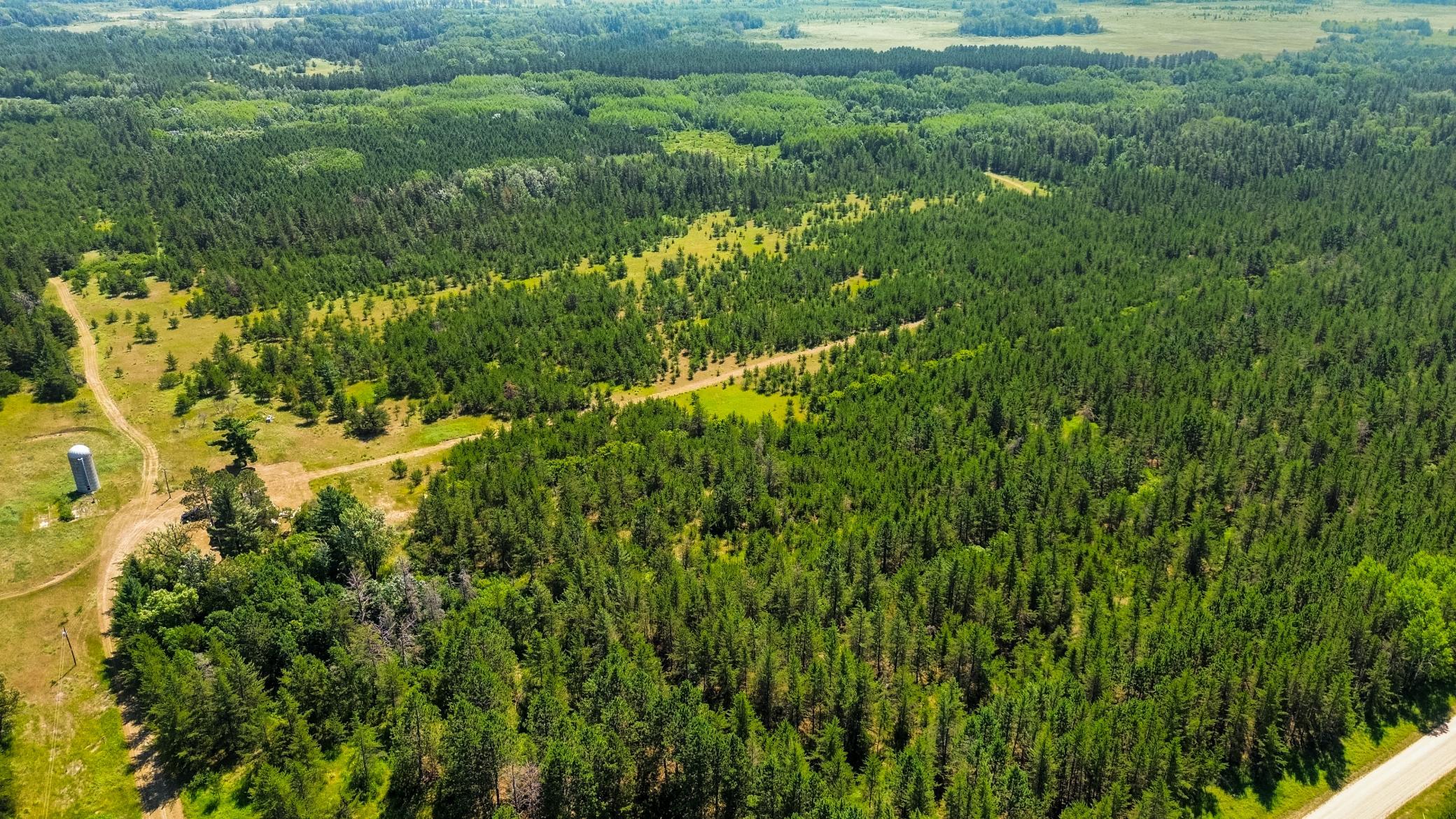 Tract 2 - 39794 259th Ave, Menahga MN 56464 - Photo 5 of 39