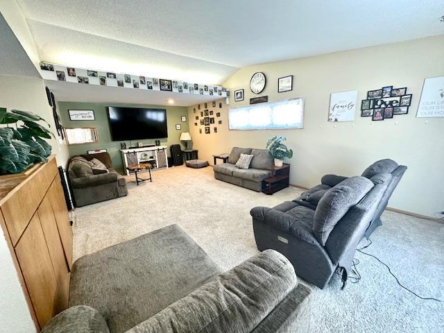 702 Champagne Avenue SW, Red Lake Falls MN 56750 - Photo 18 of 24