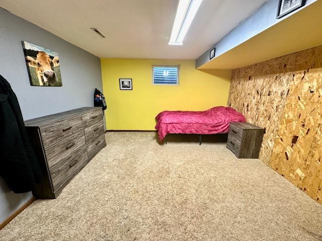 702 Champagne Avenue SW, Red Lake Falls MN 56750 - Photo 5 of 24