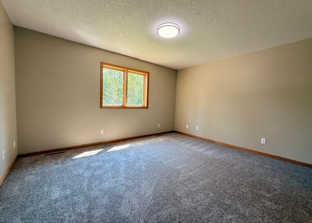 50539 229th Avenue, Bemidji MN 56601 - Photo 16 of 37