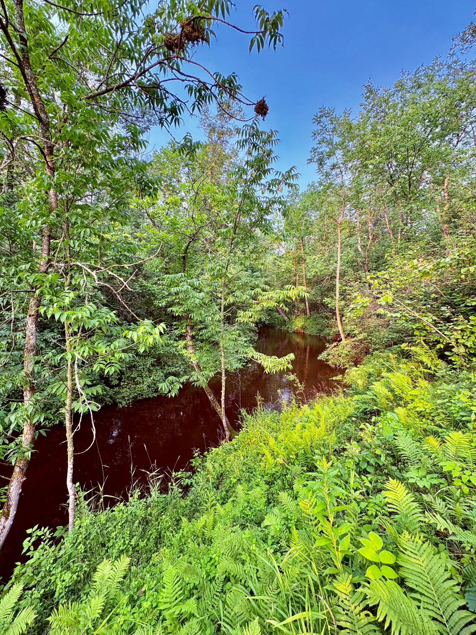 1976 single family home for sale at 59366 330th Street in Warroad, MN — 5 bed, 5 bath (photo 11 of 75)
