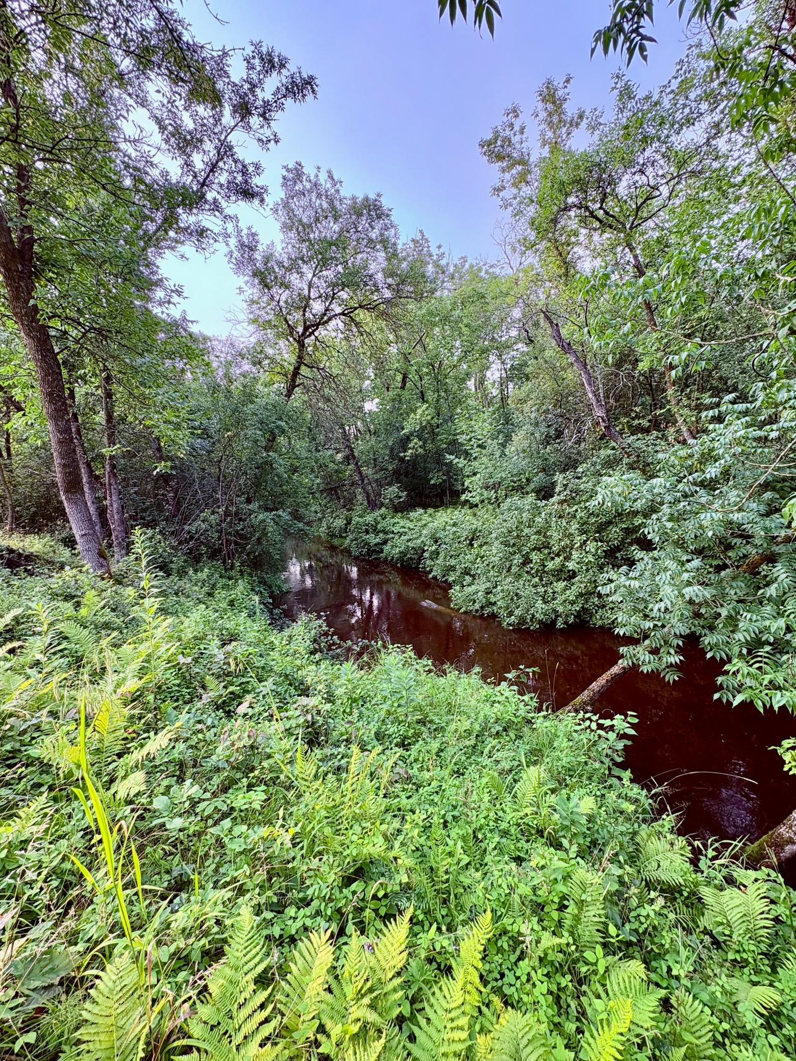 1976 single family home for sale at 59366 330th Street in Warroad, MN — 5 bed, 5 bath (photo 10 of 75)