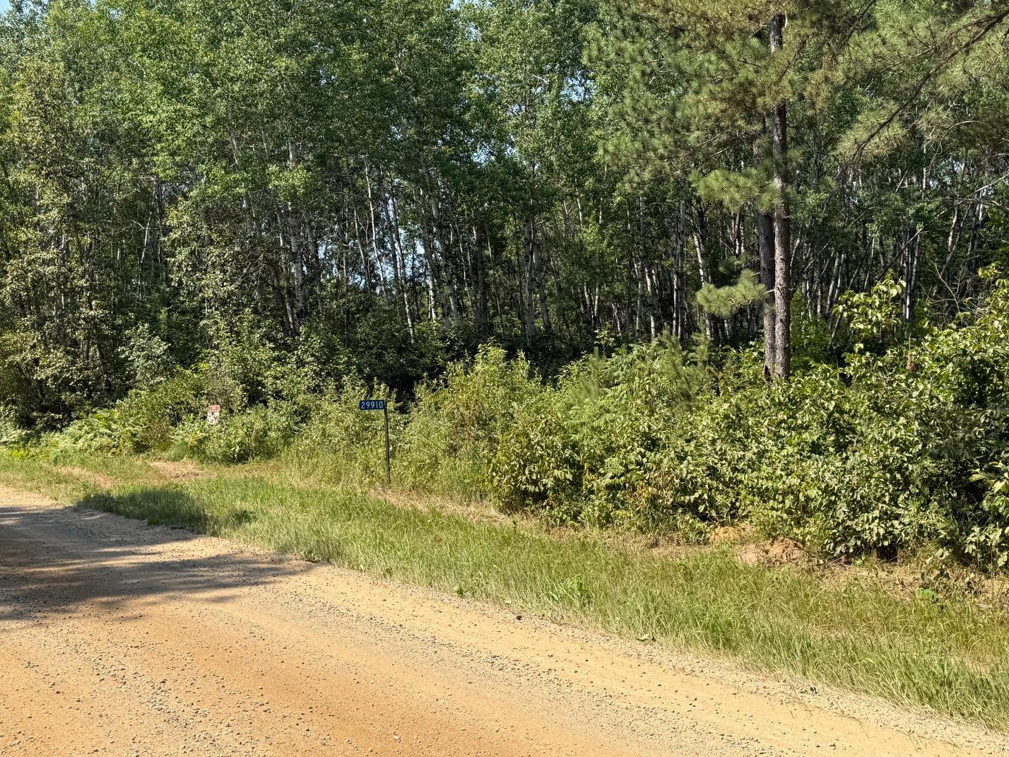 29910 County 109, Menahga MN 56464 - Photo 18 of 25