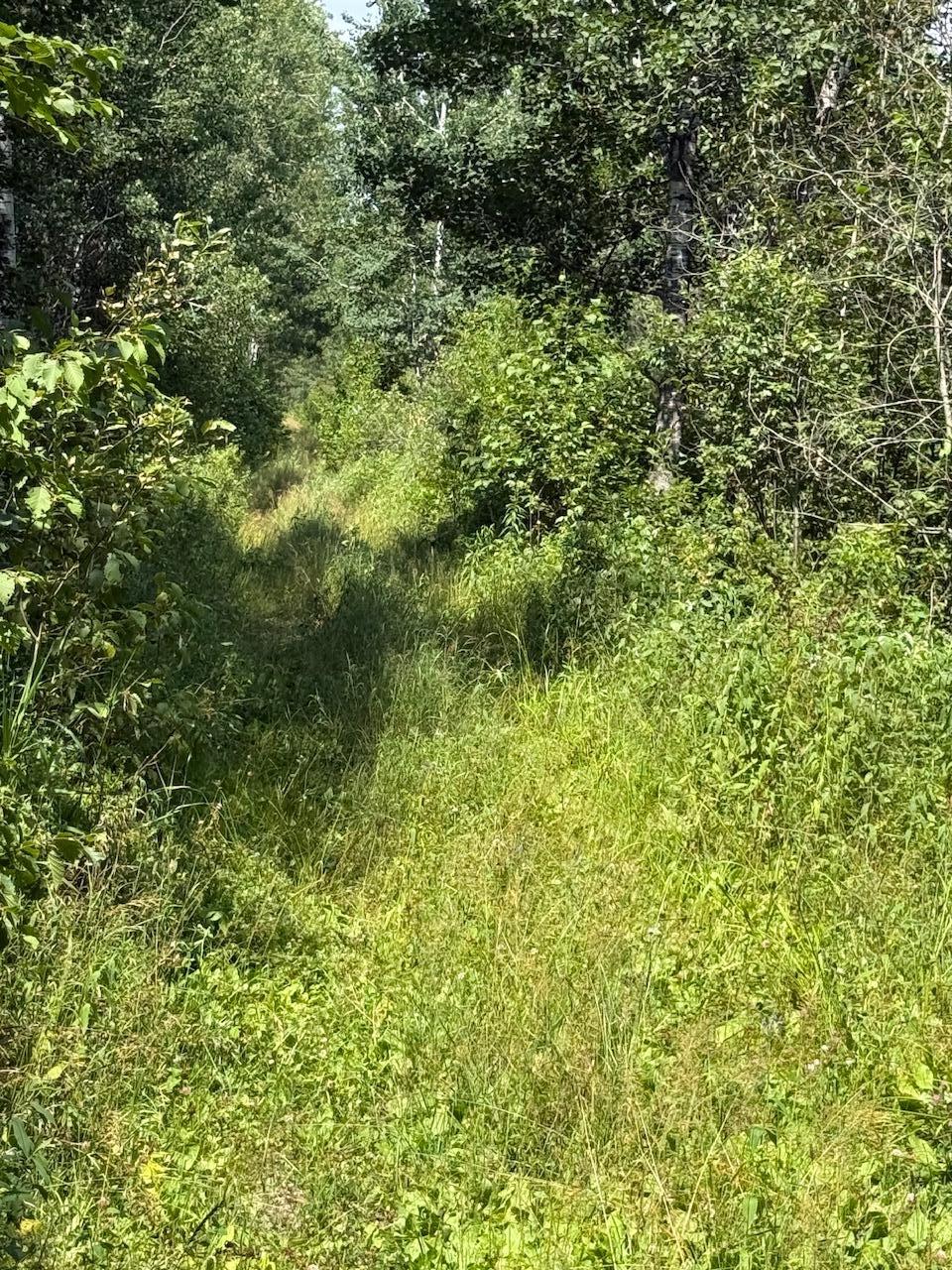 29910 County 109, Menahga MN 56464 - Photo 21 of 25