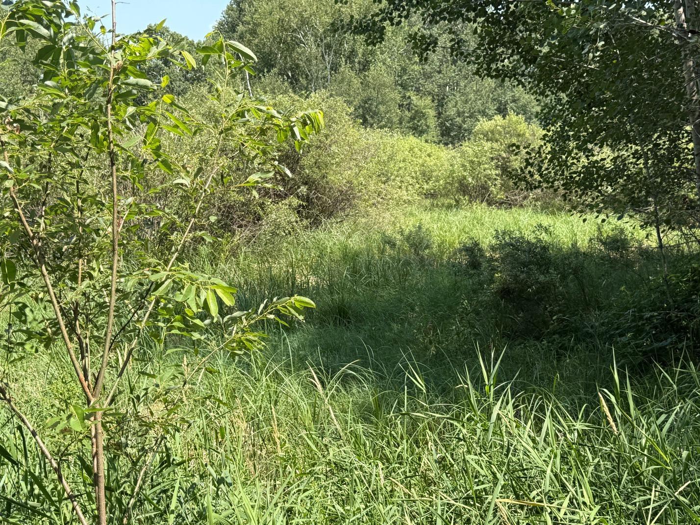 29910 County 109, Menahga MN 56464 - Photo 22 of 25