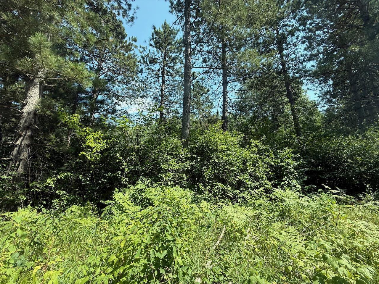 29910 County 109, Menahga MN 56464 - Photo 24 of 25