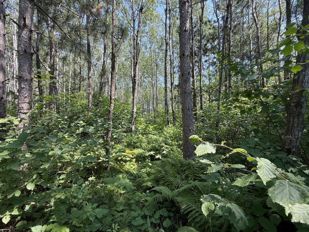 29910 County 109, Menahga MN 56464 - Photo 25 of 25