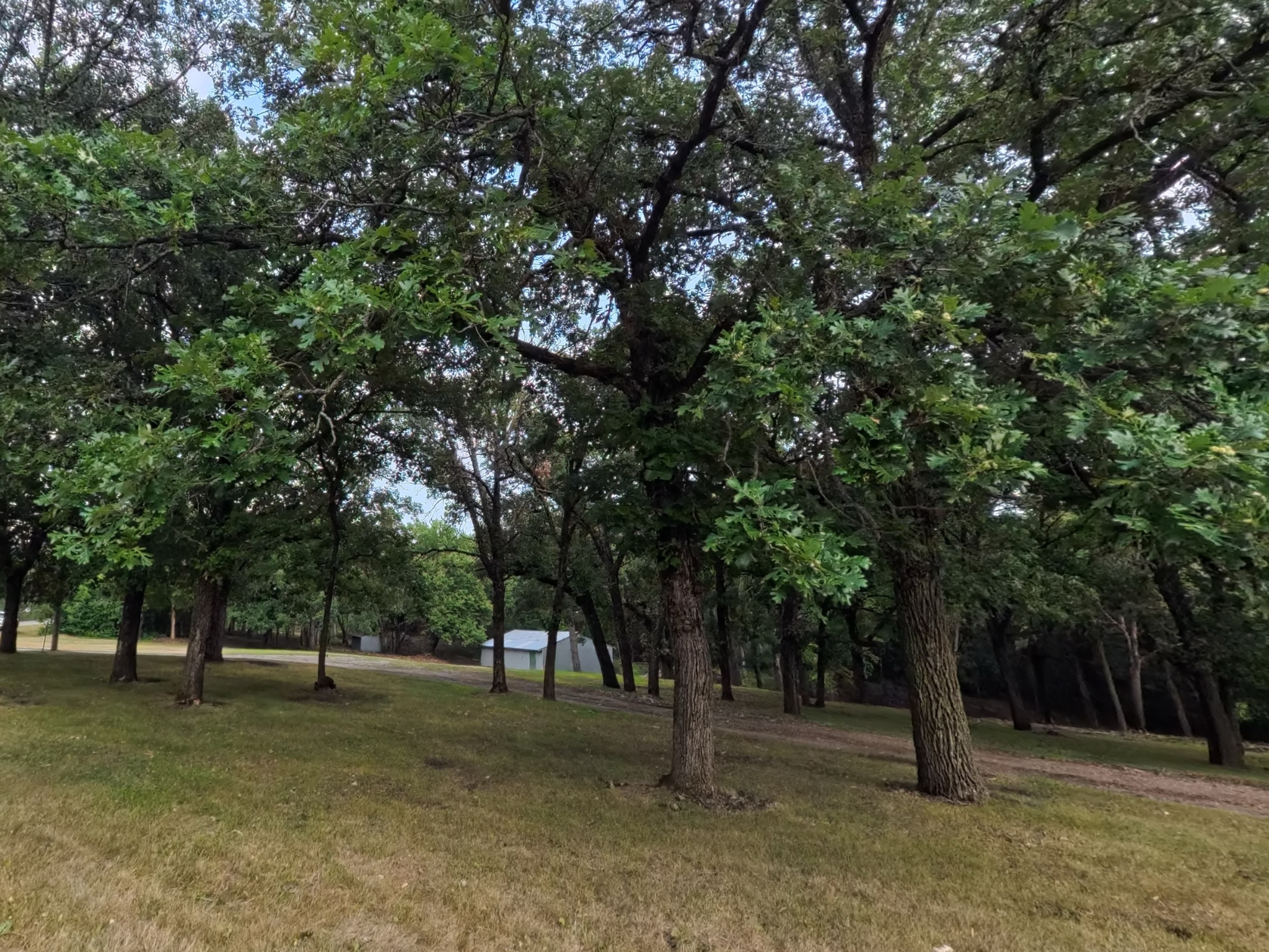 land for sale at Lot 1 S Le Homme Dieu Drive NE in Alexandria, MN (photo 4 of 9)