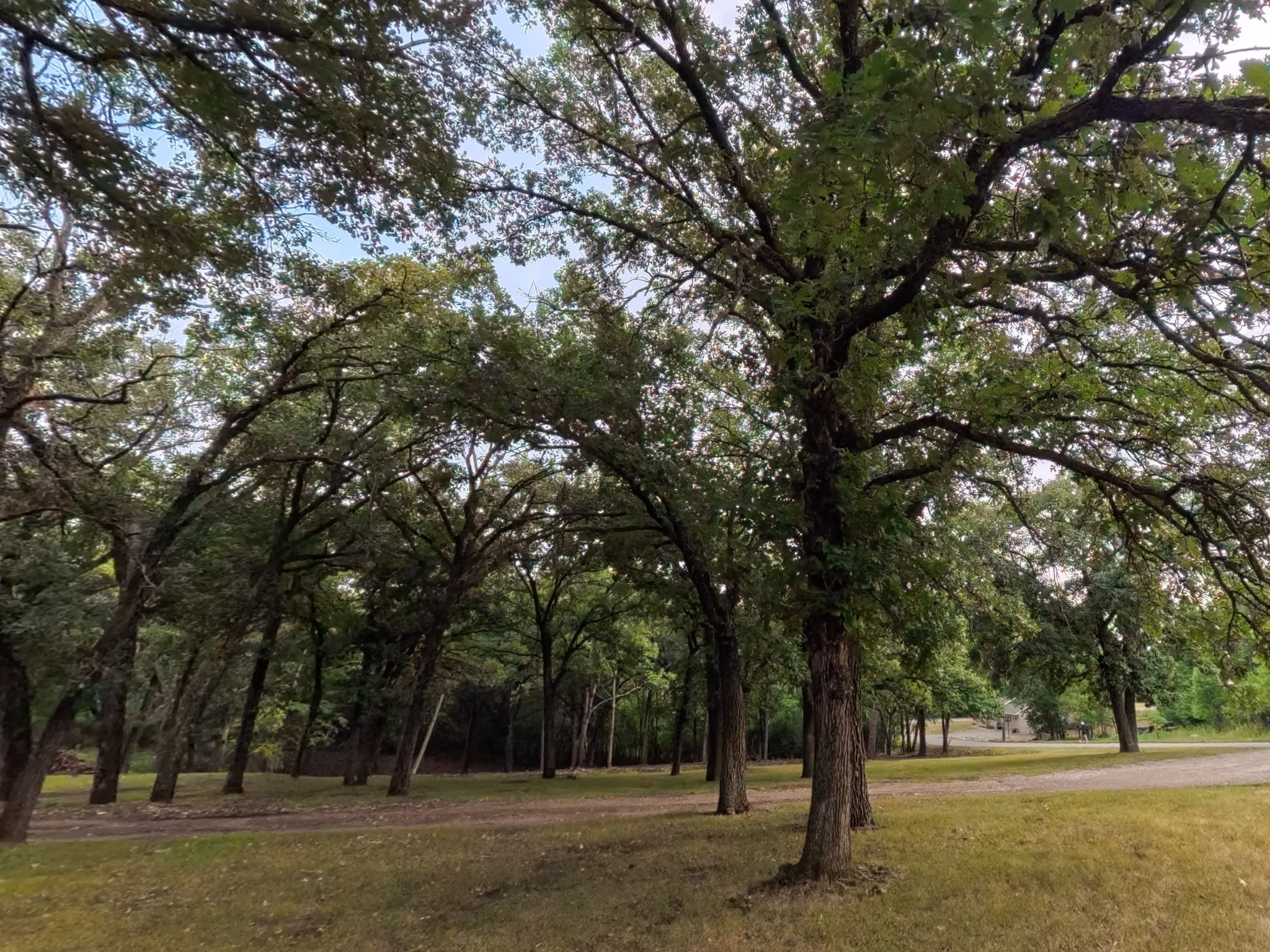 land for sale at Lot 1 S Le Homme Dieu Drive NE in Alexandria, MN (photo 5 of 9)