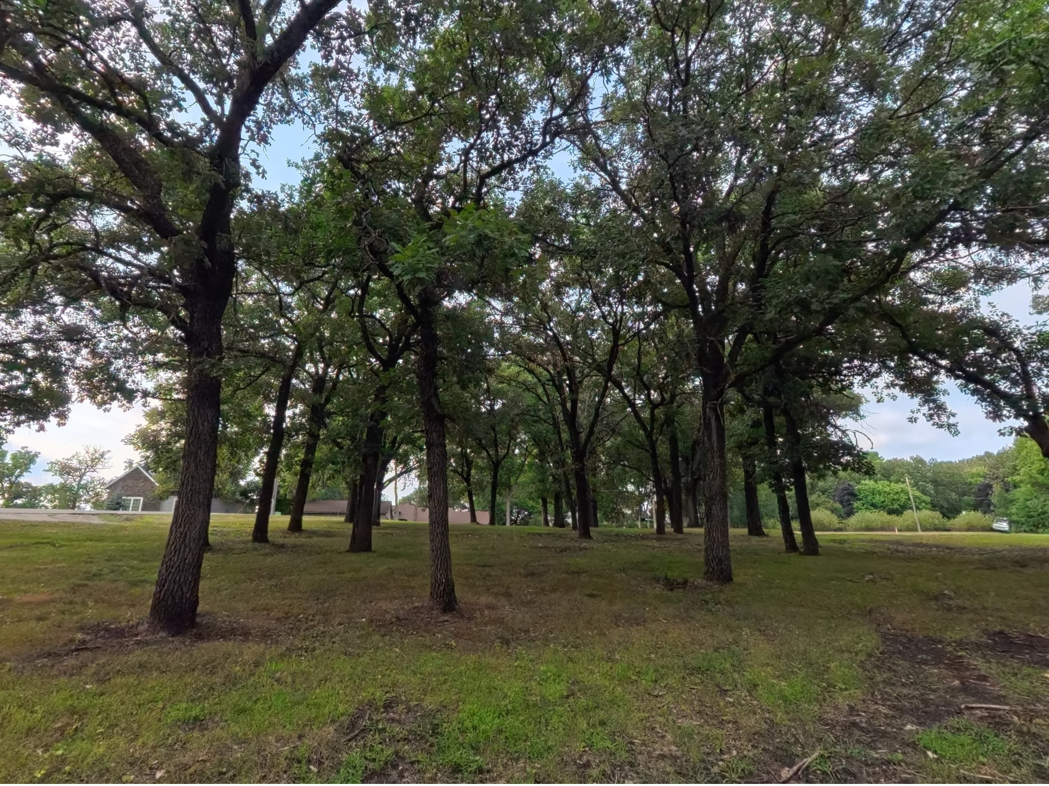 land for sale at Lot 1 S Le Homme Dieu Drive NE in Alexandria, MN (photo 6 of 9)