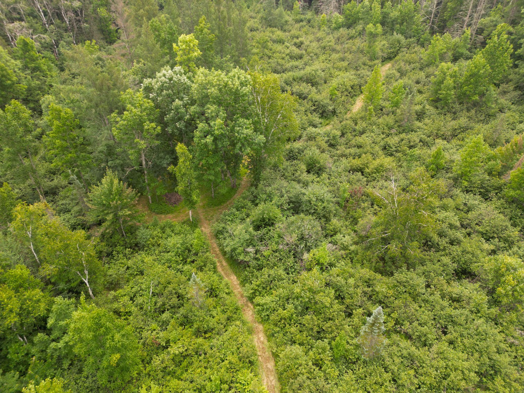 2021 single family home for sale at 42050 Little Pine Road in Emily, MN — 3 bed, 3 bath (photo 106 of 141)
