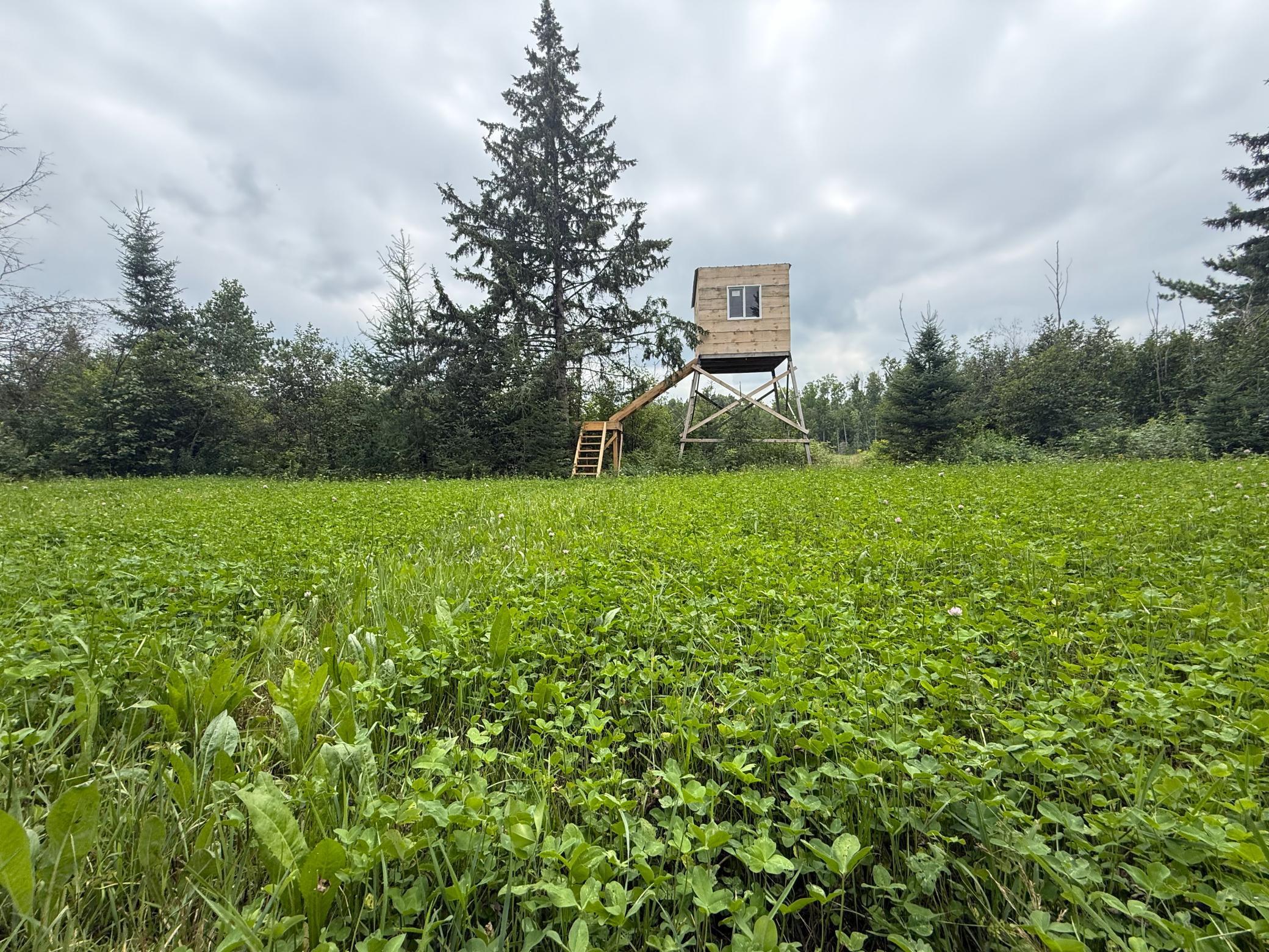2021 single family home for sale at 42050 Little Pine Road in Emily, MN — 3 bed, 3 bath (photo 108 of 141)