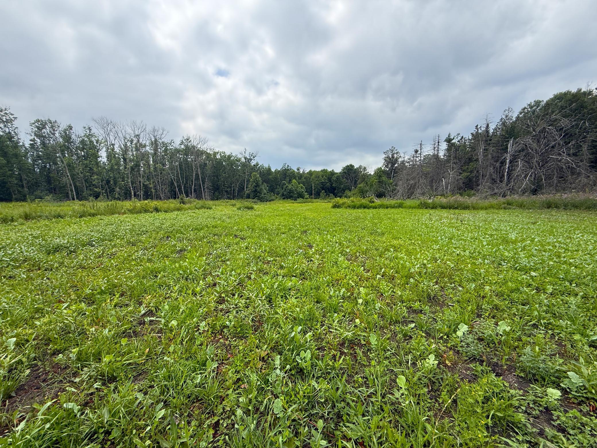2021 single family home for sale at 42050 Little Pine Road in Emily, MN — 3 bed, 3 bath (photo 111 of 141)