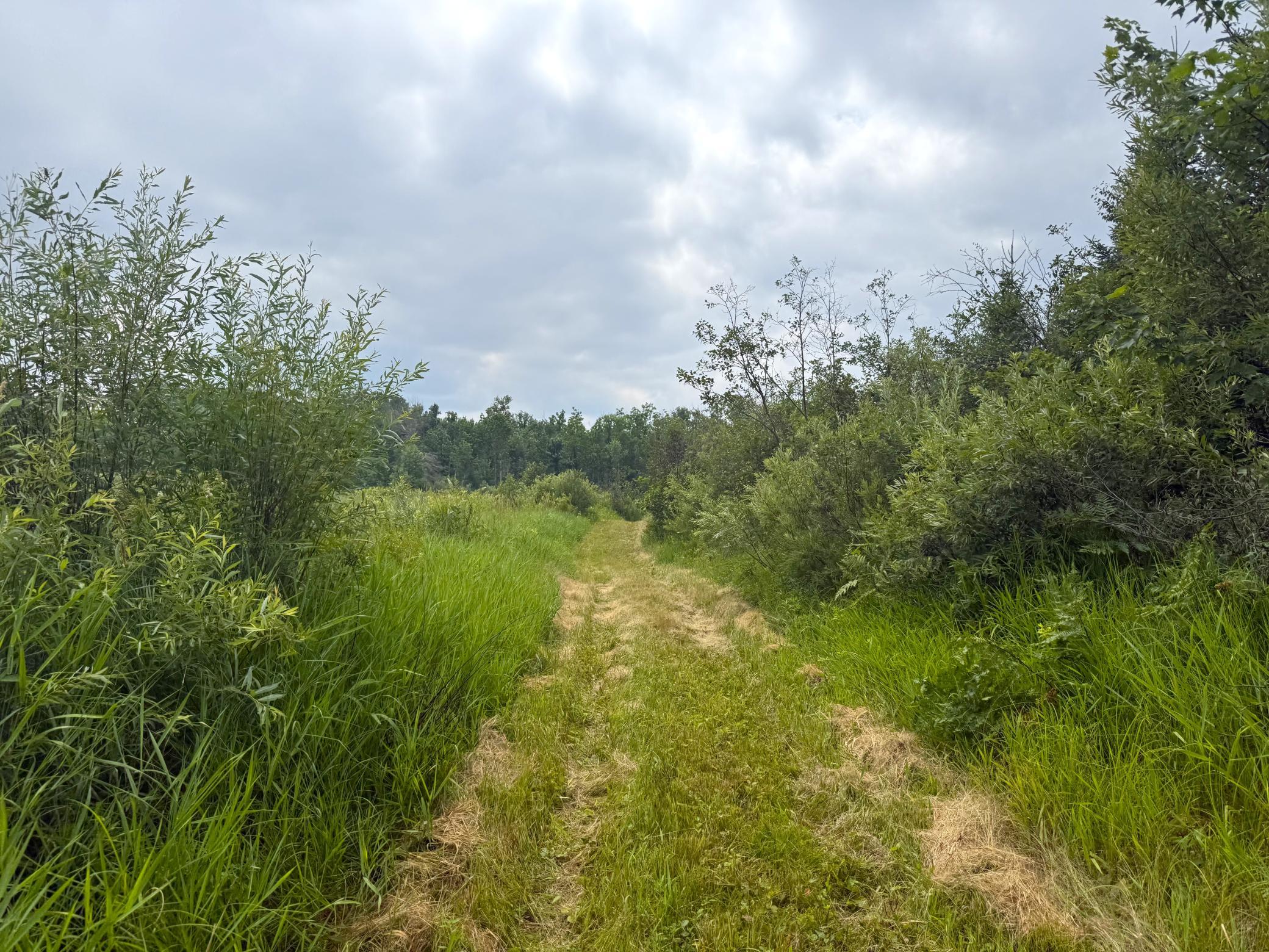 2021 single family home for sale at 42050 Little Pine Road in Emily, MN — 3 bed, 3 bath (photo 114 of 141)