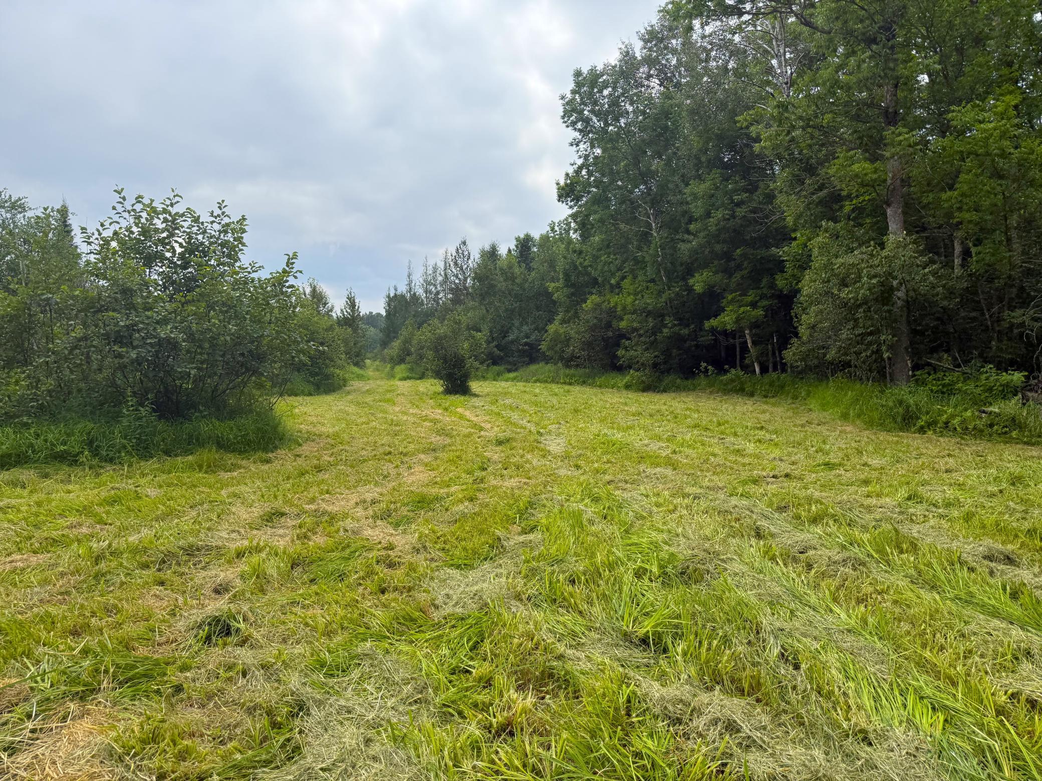 2021 single family home for sale at 42050 Little Pine Road in Emily, MN — 3 bed, 3 bath (photo 115 of 141)