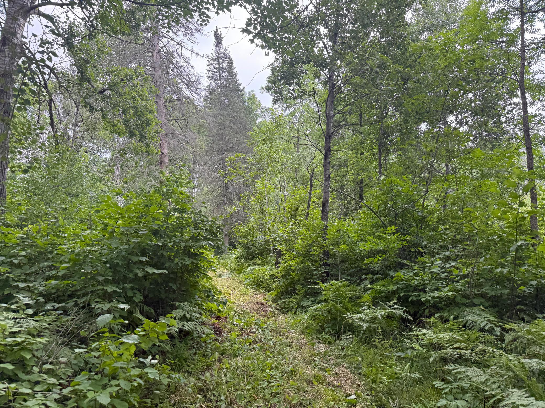 2021 single family home for sale at 42050 Little Pine Road in Emily, MN — 3 bed, 3 bath (photo 117 of 141)