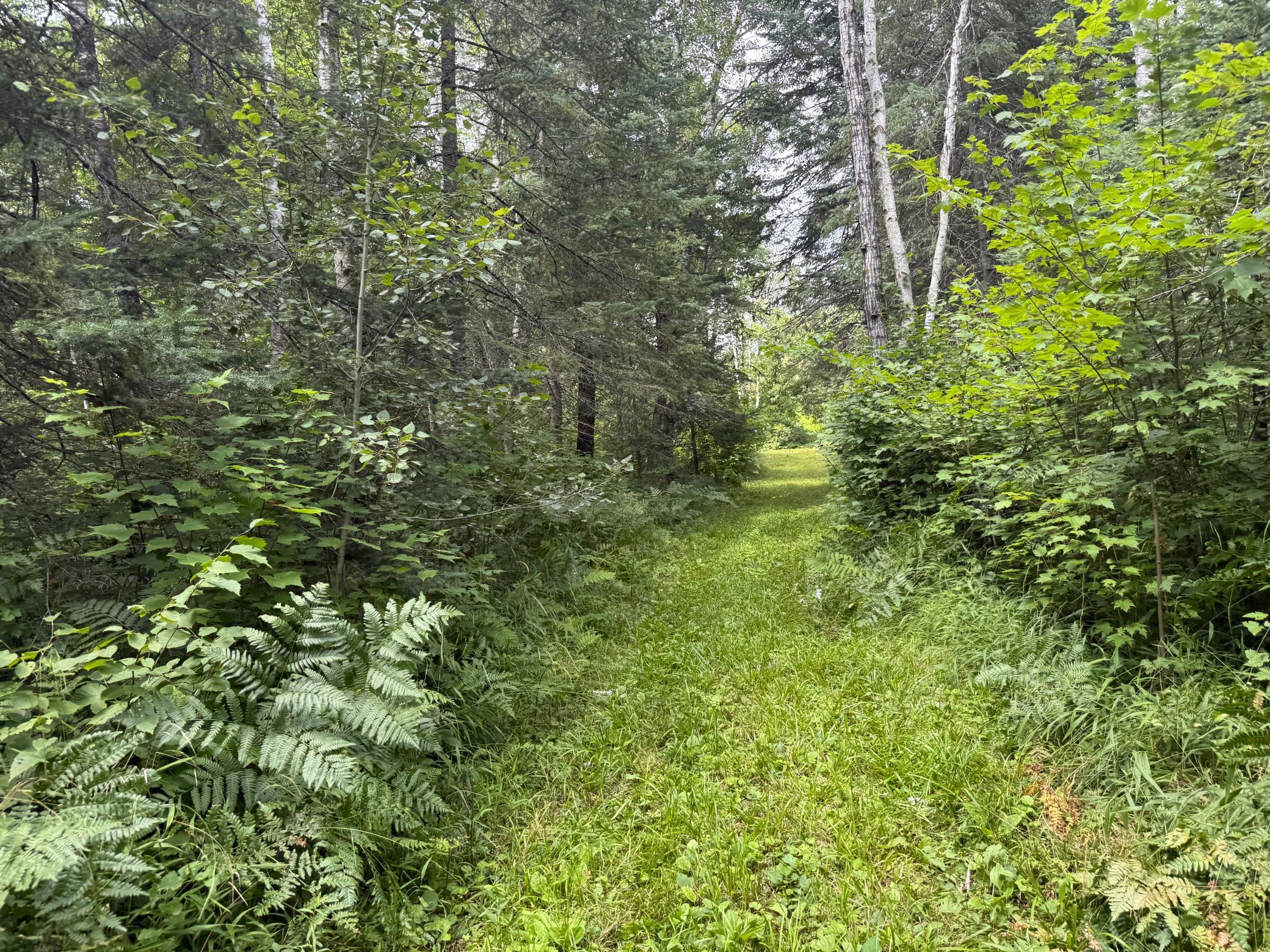 2021 single family home for sale at 42050 Little Pine Road in Emily, MN — 3 bed, 3 bath (photo 123 of 141)