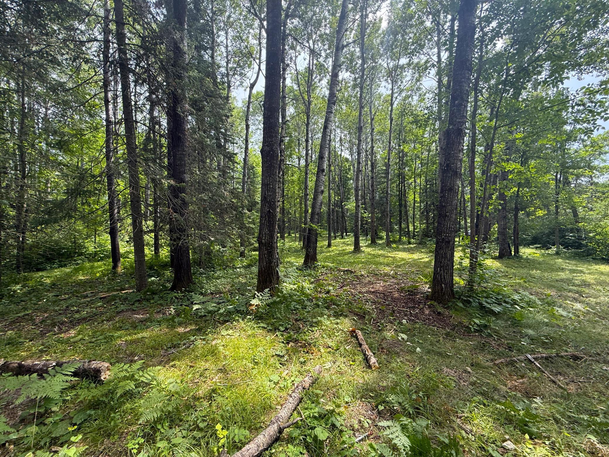 2021 single family home for sale at 42050 Little Pine Road in Emily, MN — 3 bed, 3 bath (photo 125 of 141)