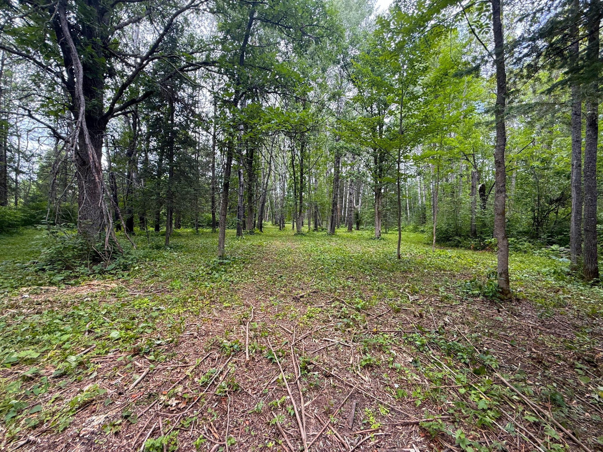 2021 single family home for sale at 42050 Little Pine Road in Emily, MN — 3 bed, 3 bath (photo 129 of 141)