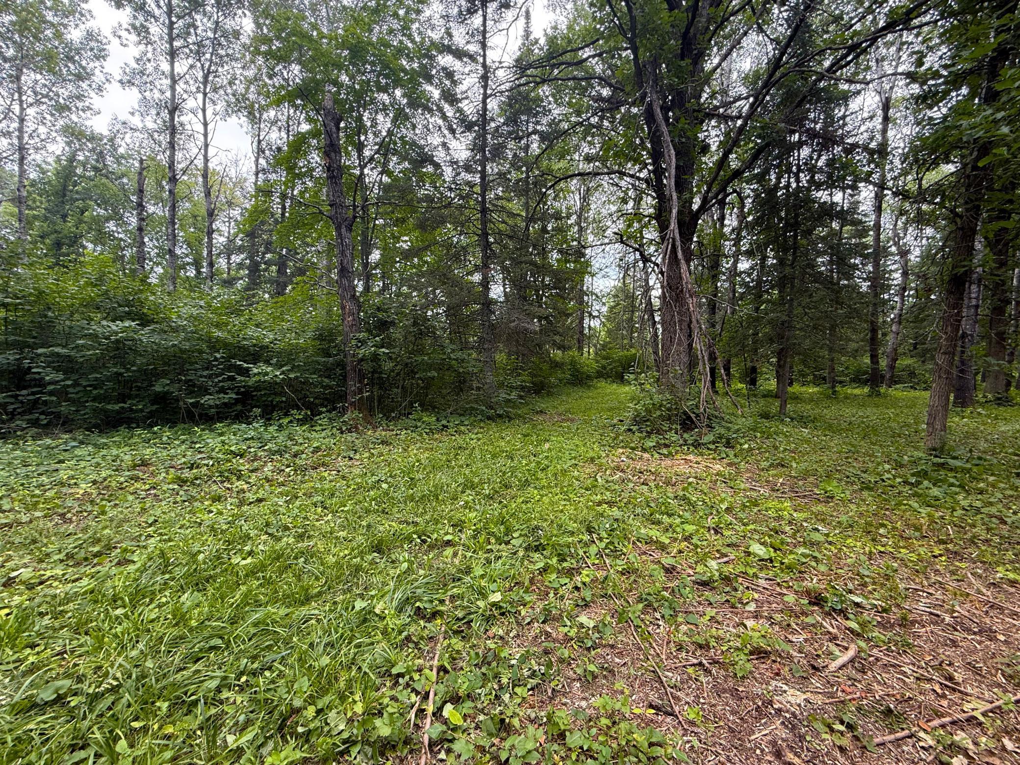 2021 single family home for sale at 42050 Little Pine Road in Emily, MN — 3 bed, 3 bath (photo 130 of 141)