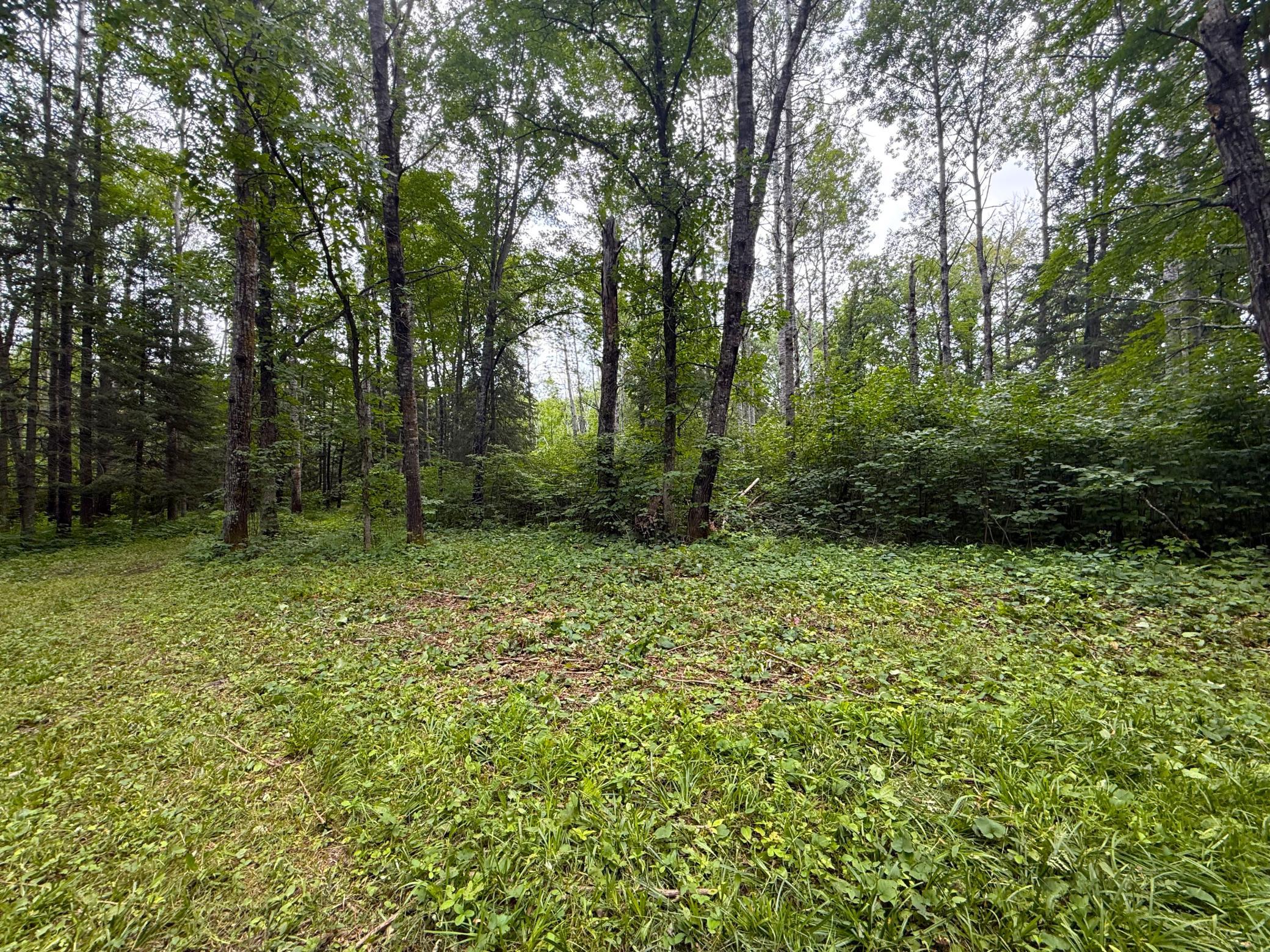 2021 single family home for sale at 42050 Little Pine Road in Emily, MN — 3 bed, 3 bath (photo 131 of 141)