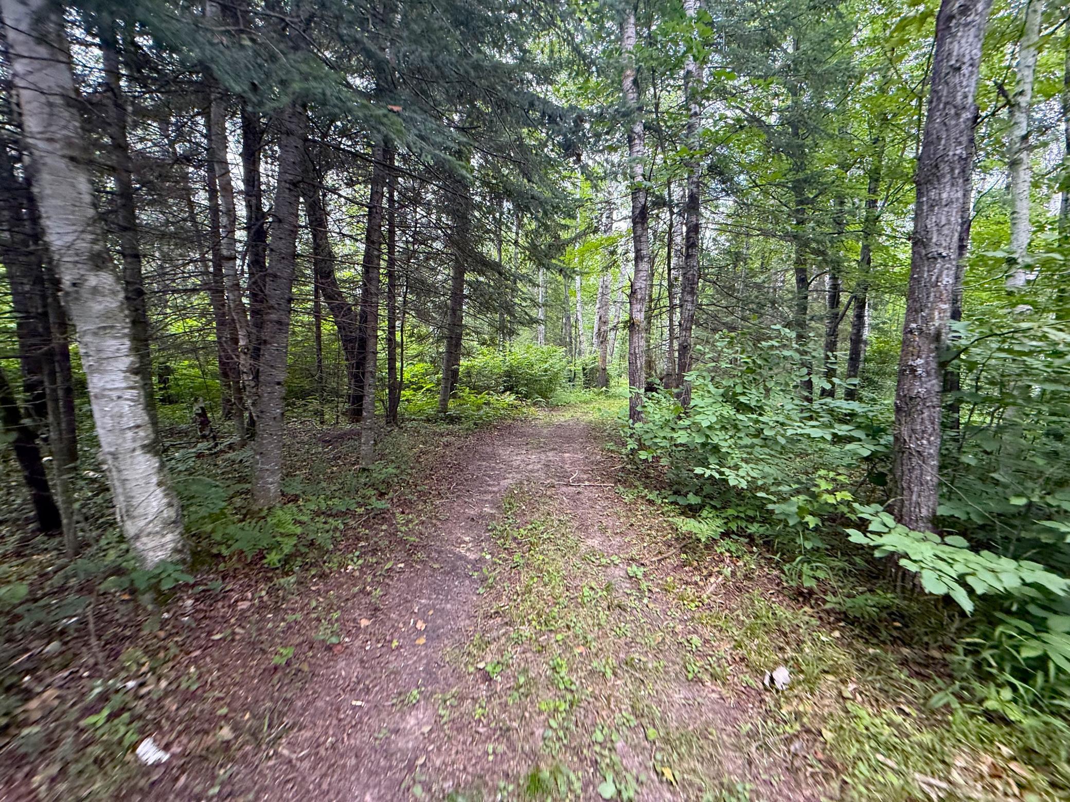 2021 single family home for sale at 42050 Little Pine Road in Emily, MN — 3 bed, 3 bath (photo 132 of 141)