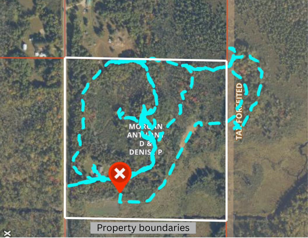 2021 single family home for sale at 42050 Little Pine Road in Emily, MN — 3 bed, 3 bath (photo 137 of 141)