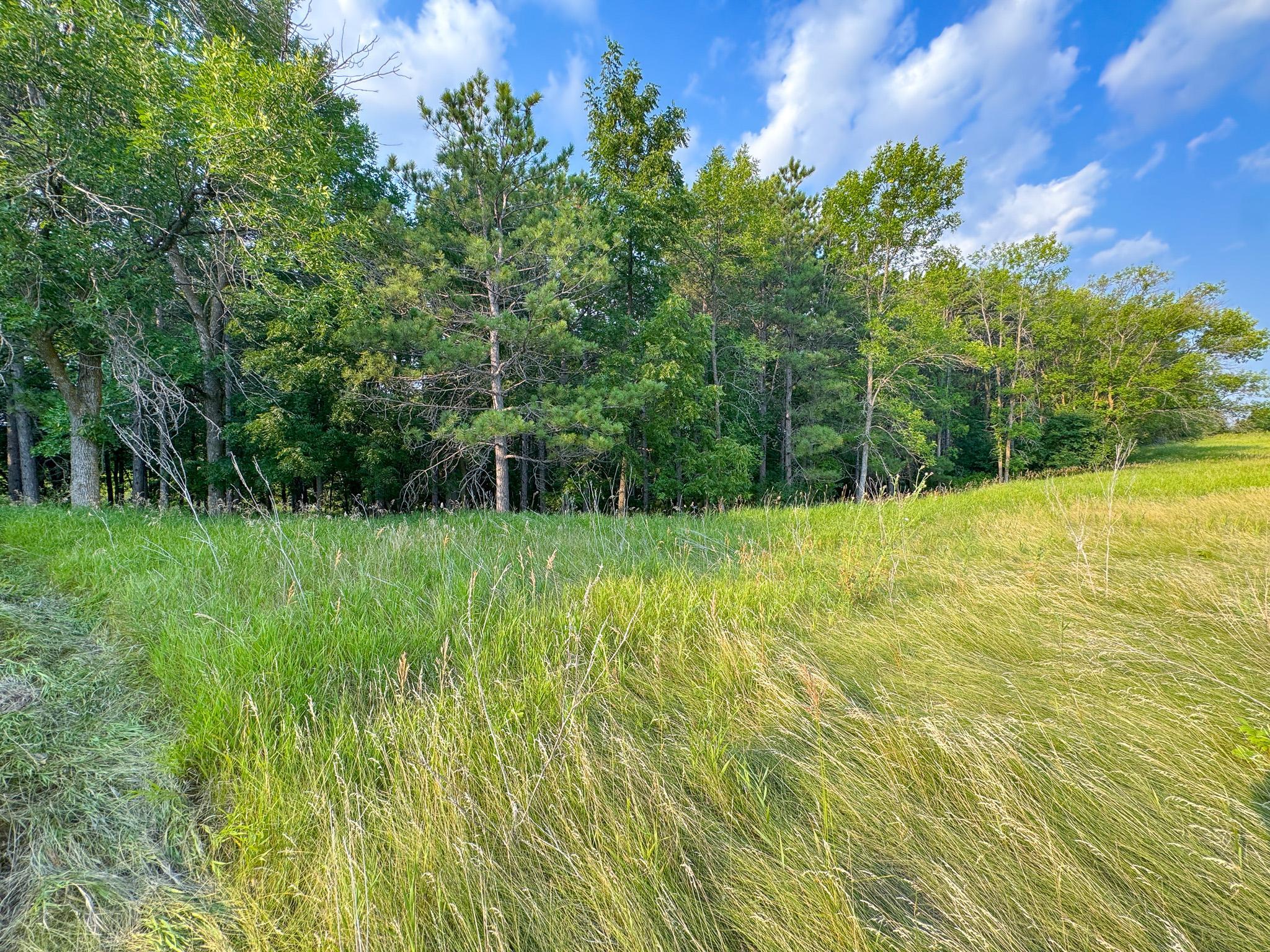 550 Guttenberg Heights, Fergus Falls MN 56537 - Photo 79 of 83
