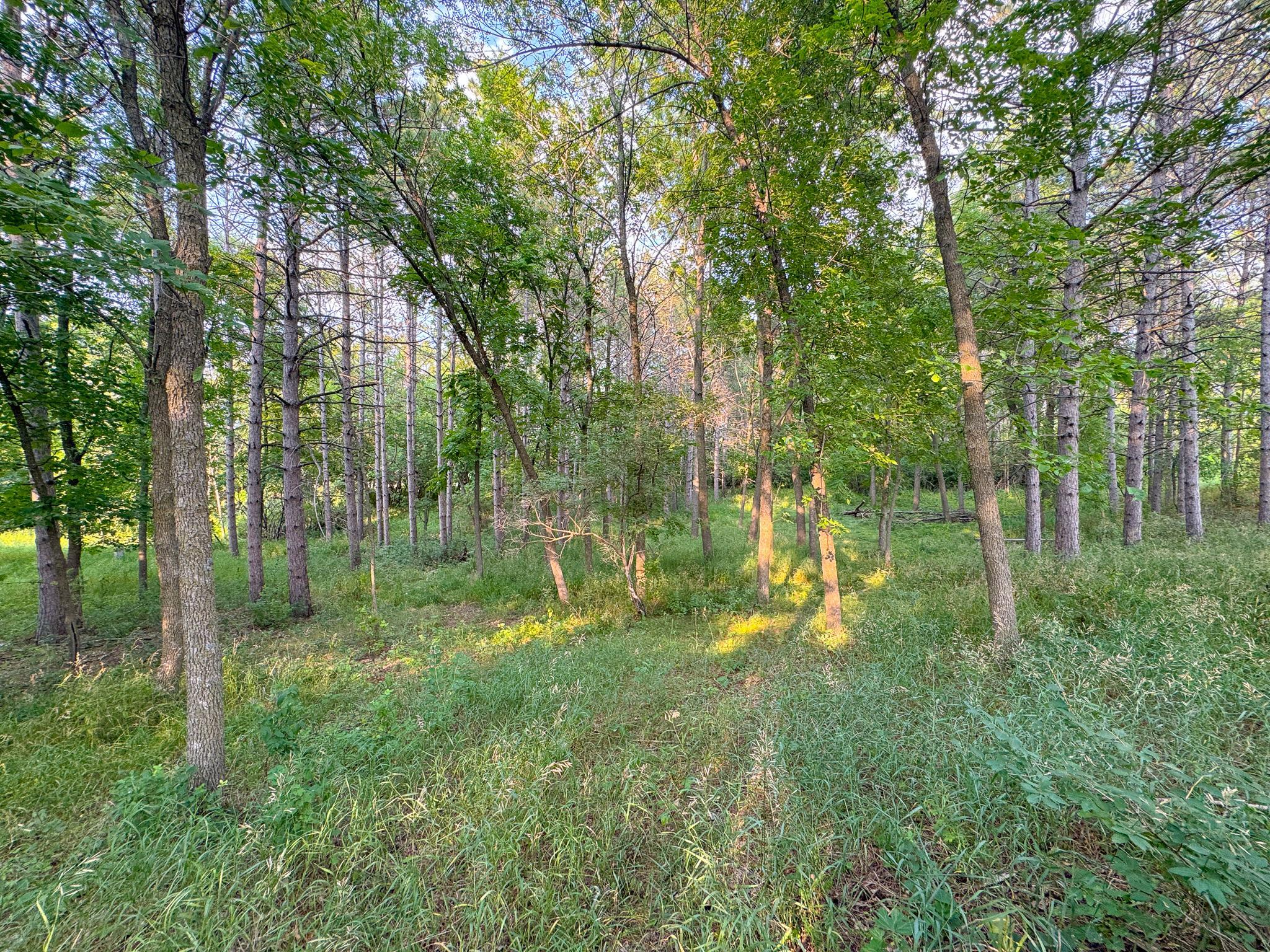 550 Guttenberg Heights, Fergus Falls MN 56537 - Photo 81 of 83