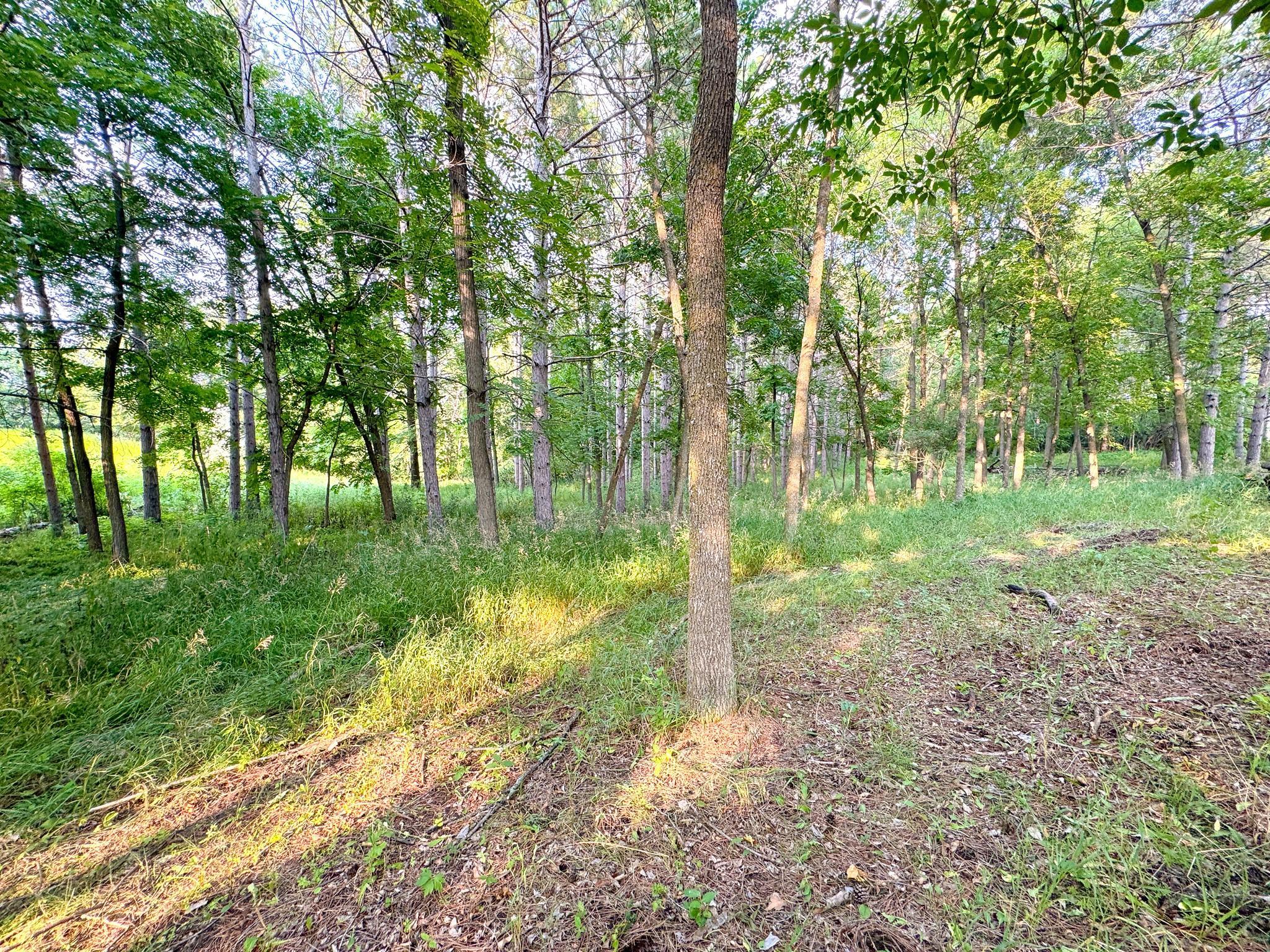 550 Guttenberg Heights, Fergus Falls MN 56537 - Photo 82 of 83