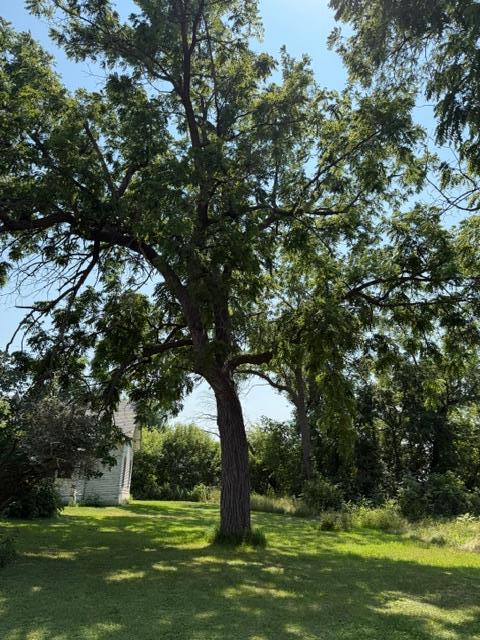 1924 land for sale at 40328 Long Lake Road in Richville, MN (photo 21 of 31)